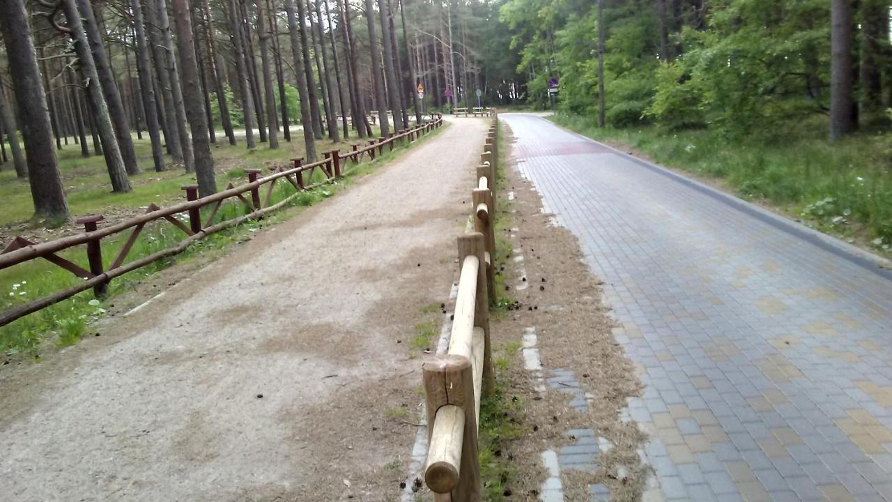 Letniskowe Zygmunt *