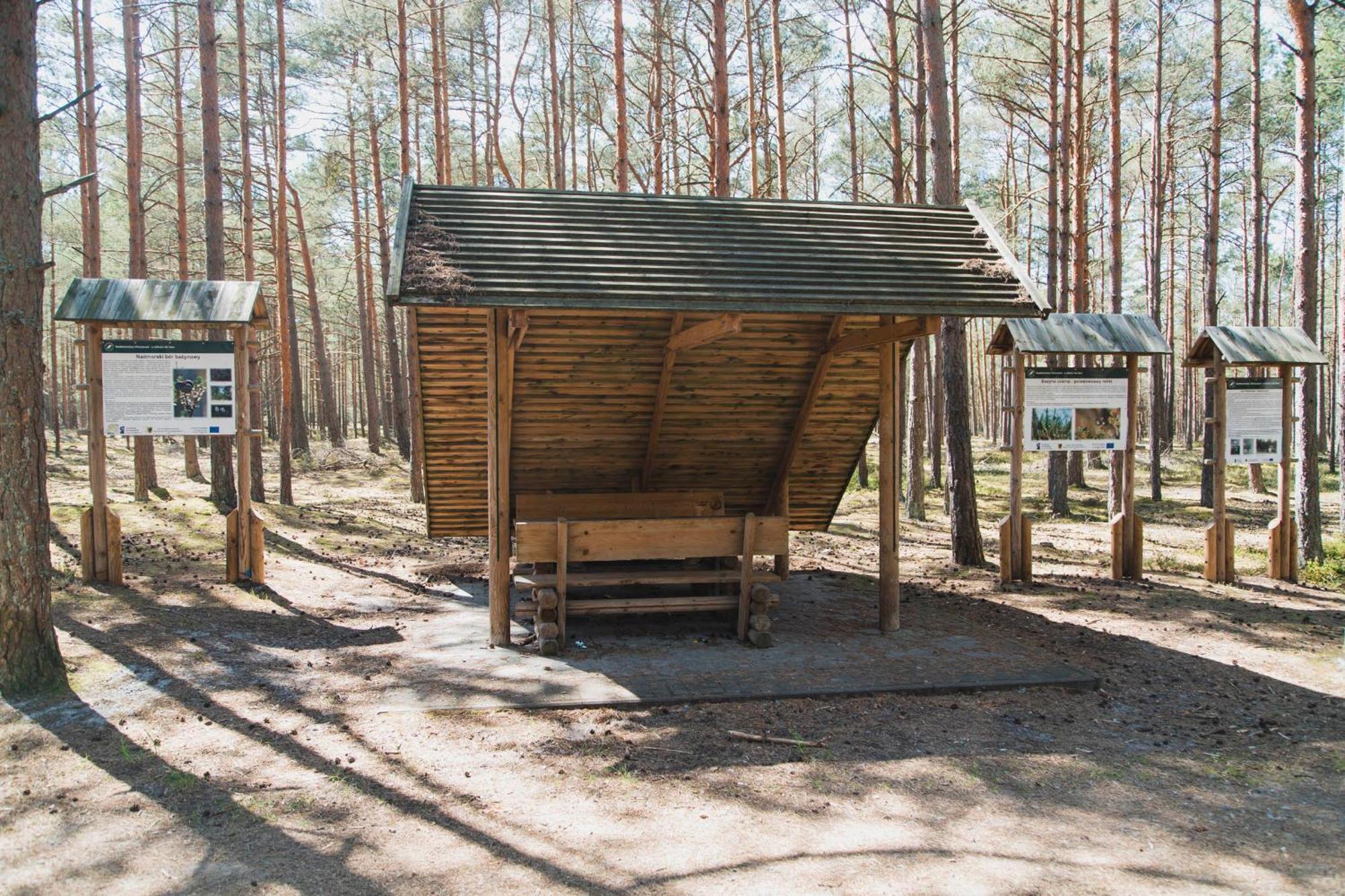 Letniskowe Zygmunt Kopalino