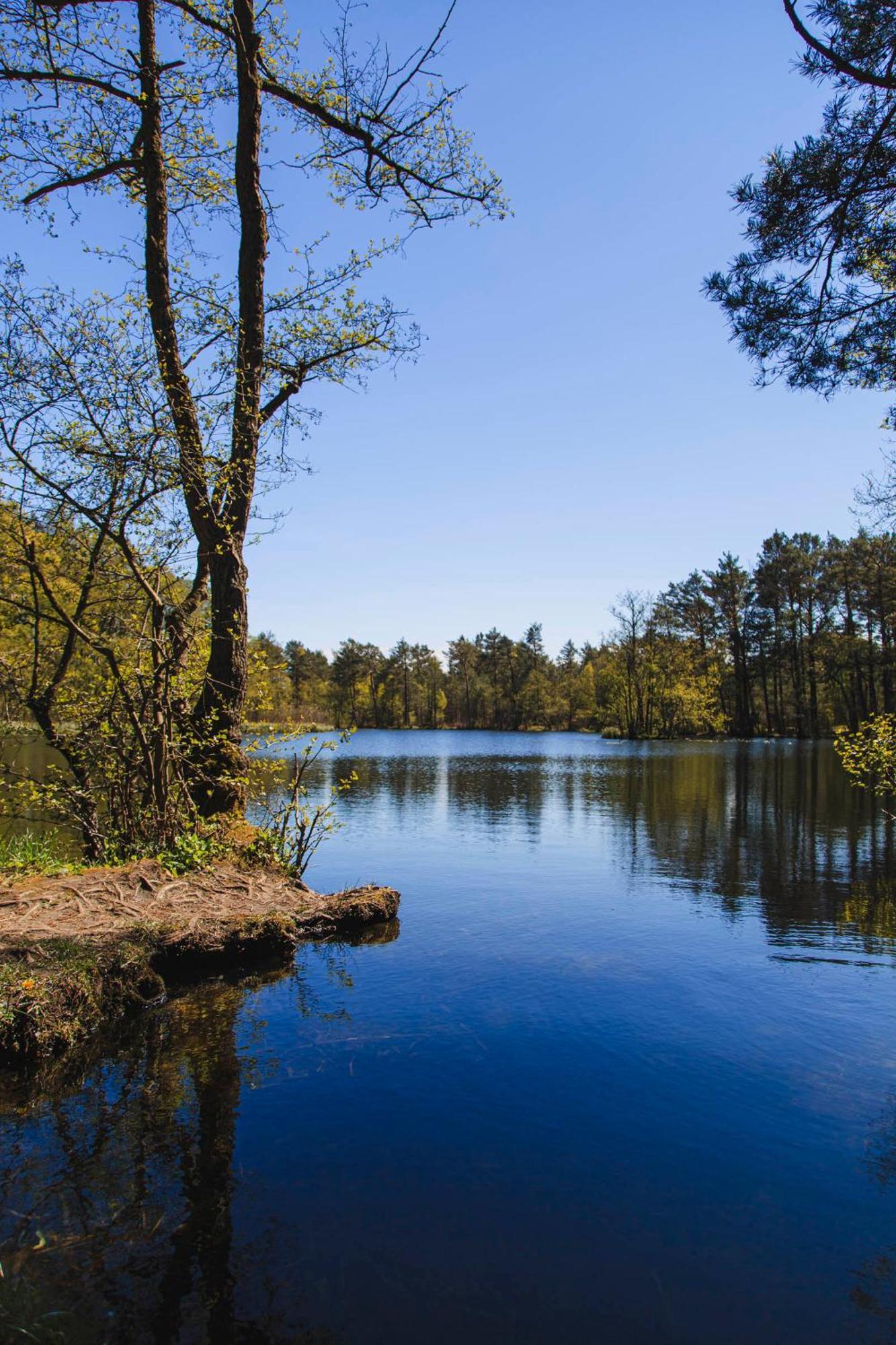 Domek letniskowy Letniskowe Zygmunt Kopalino